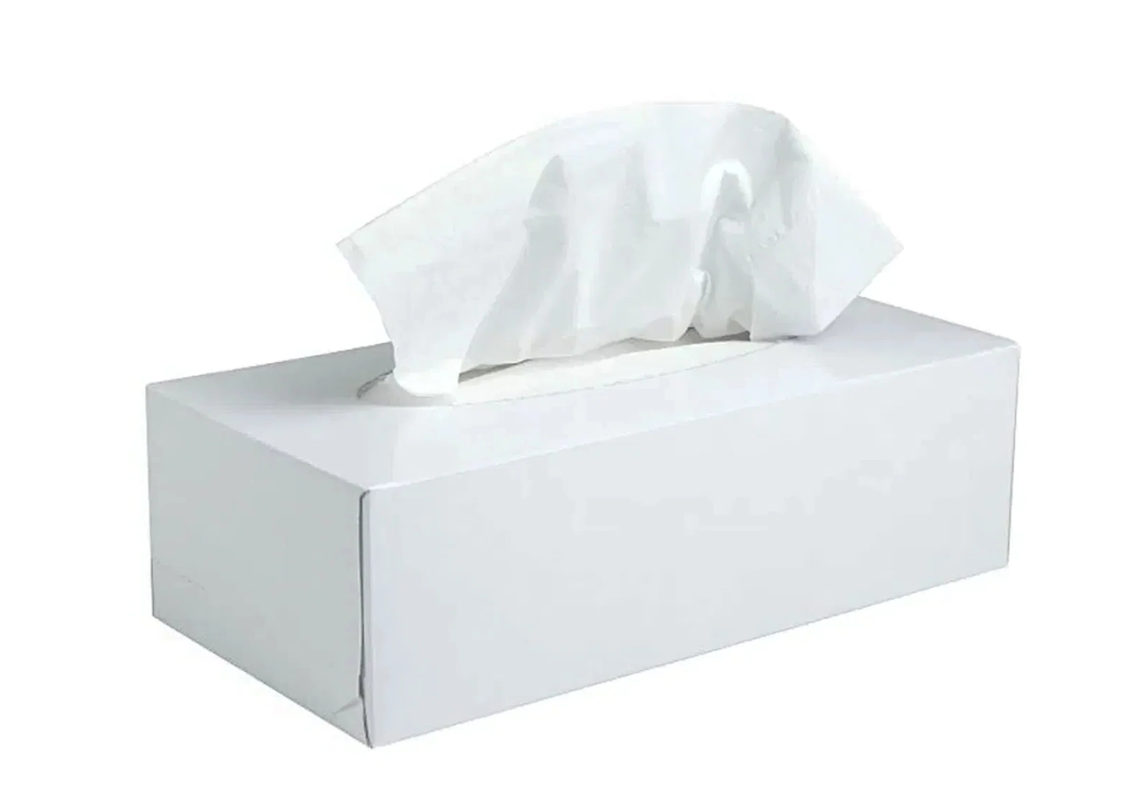 Kosmetiktücher Neutrale Box, weiss, 2 Lagen, 100 Blatt