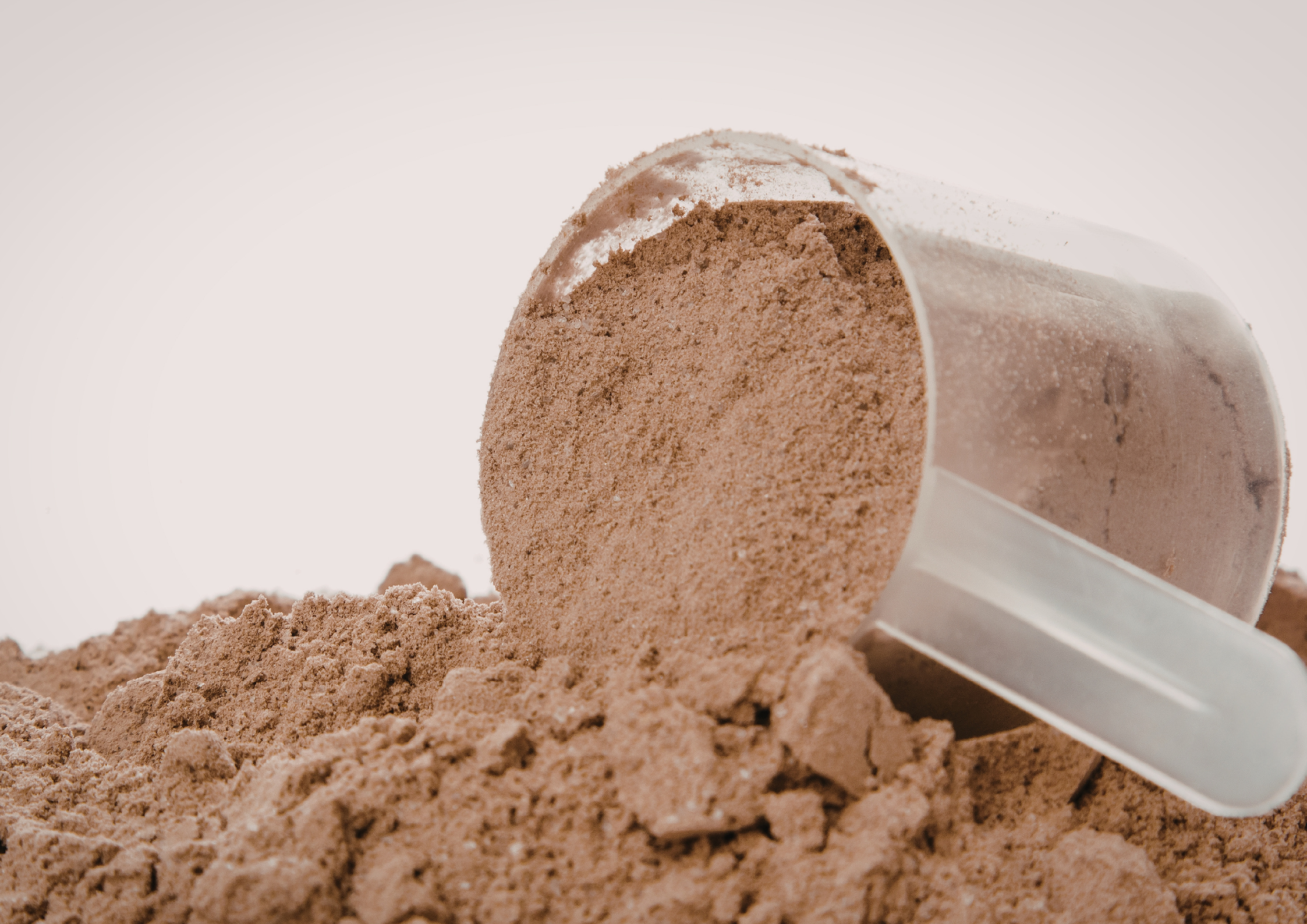 Protein/Kreatin