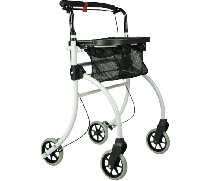 Indoor-Rollator Roomba