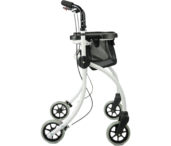 Indoor-Rollator Roomba