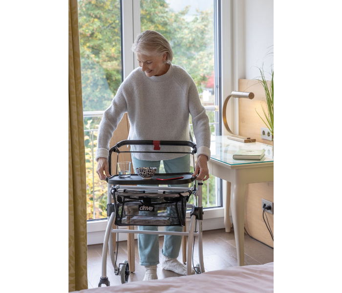 Indoor-Rollator Roomba