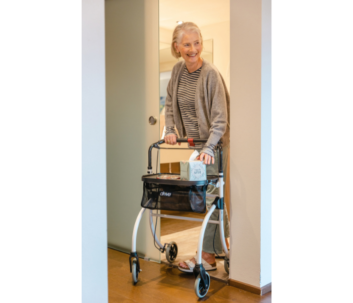 Indoor-Rollator Roomba